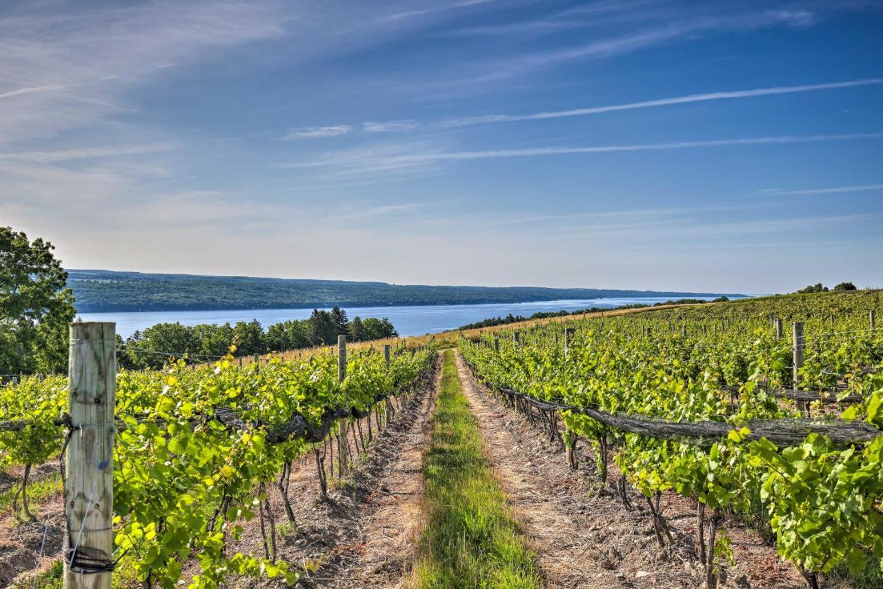 Finger Lakes Farm Retreat Walk To Wineries! Hector Zewnętrze zdjęcie