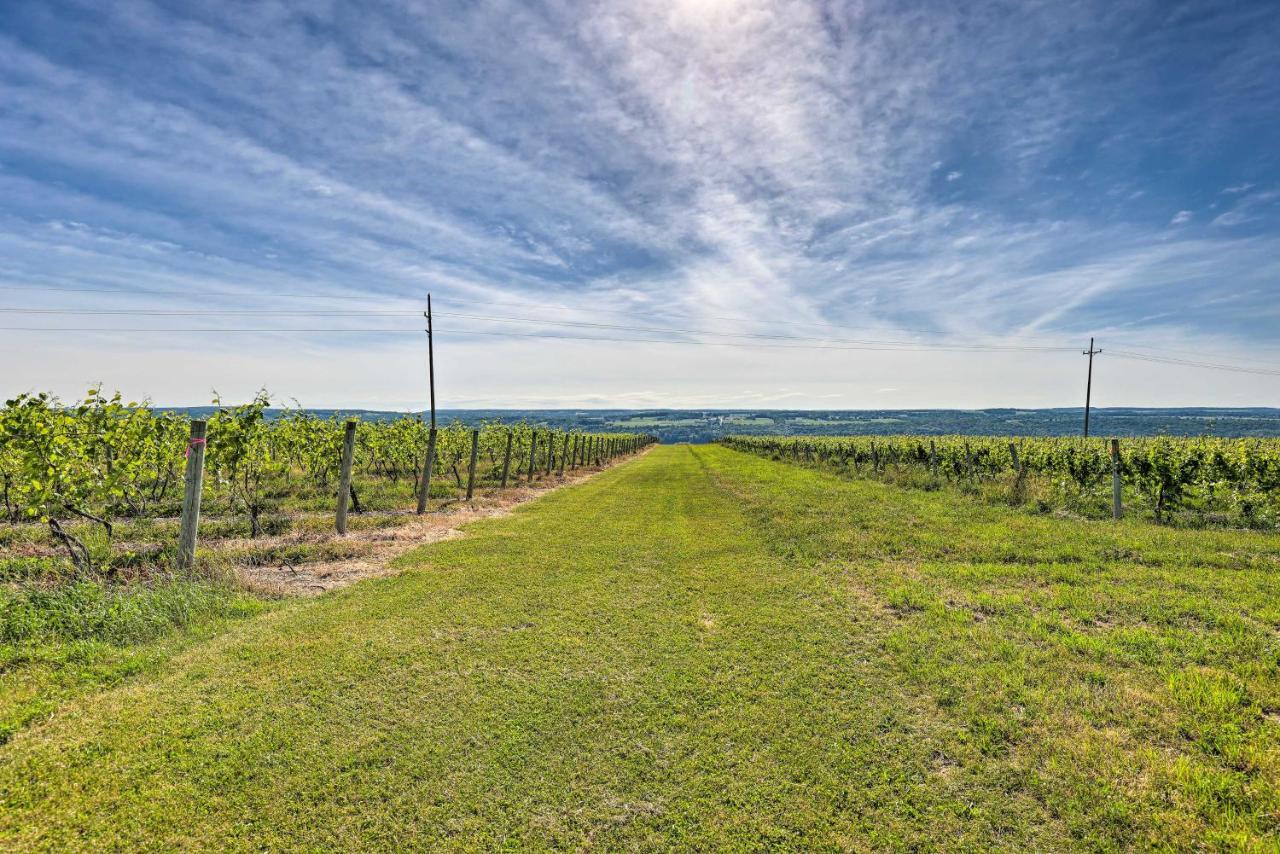 Finger Lakes Farm Retreat Walk To Wineries! Hector Zewnętrze zdjęcie